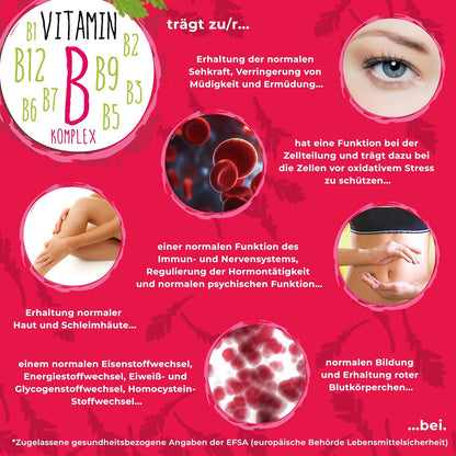 Vitamin B-Komplex - B1 + B2 + B3 + B5 + B6 + B7 + B9 + B12 fuer Erwachsene, vegan, hochdosiert - 180 Kapseln (6 Monats-Vorrat)